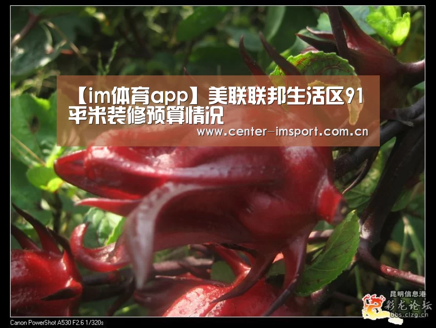 im体育下载