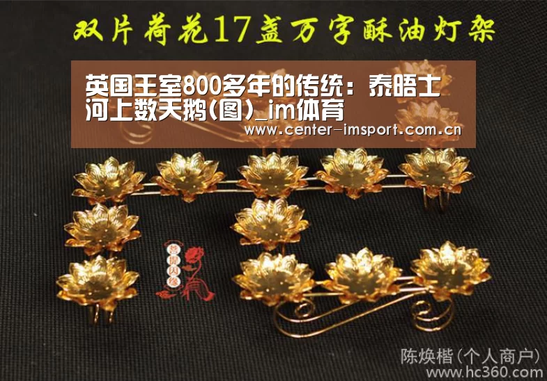 im体育官方网站