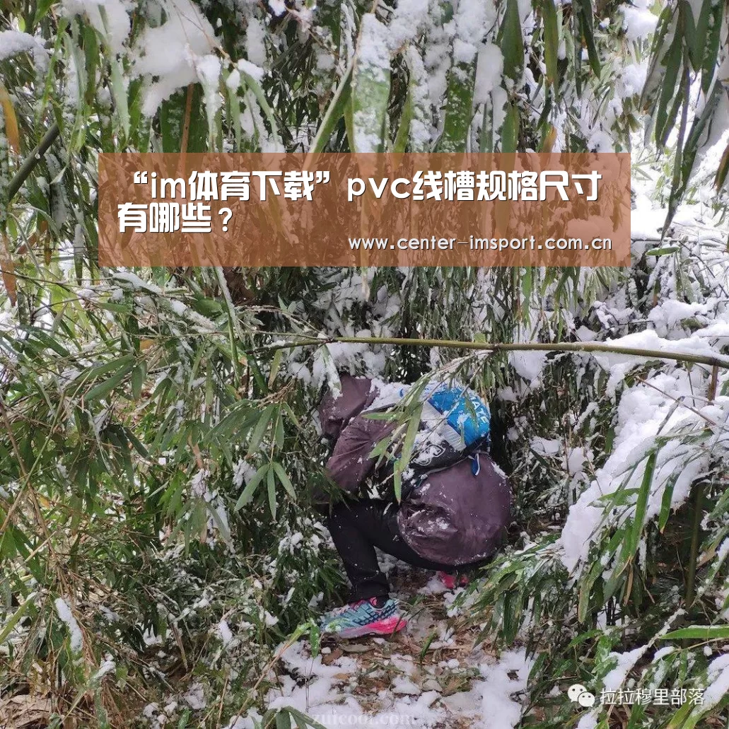 “im体育下载”pvc线槽规格尺寸有哪些?(图2) im体育下载